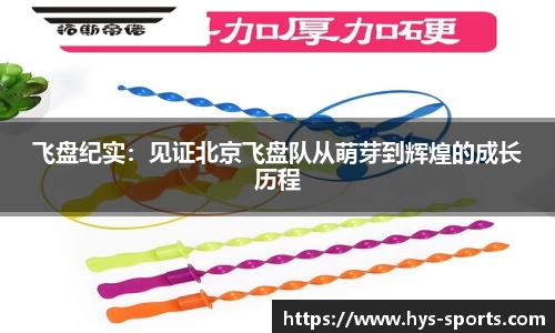 飞盘纪实：见证北京飞盘队从萌芽到辉煌的成长历程